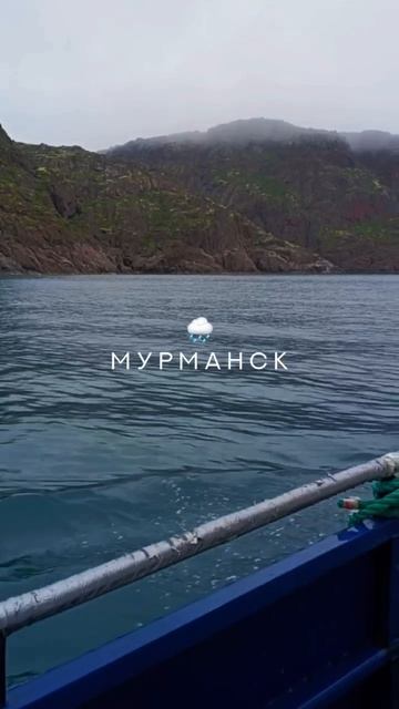 Конференция Техэксперт. Мурманск 2025