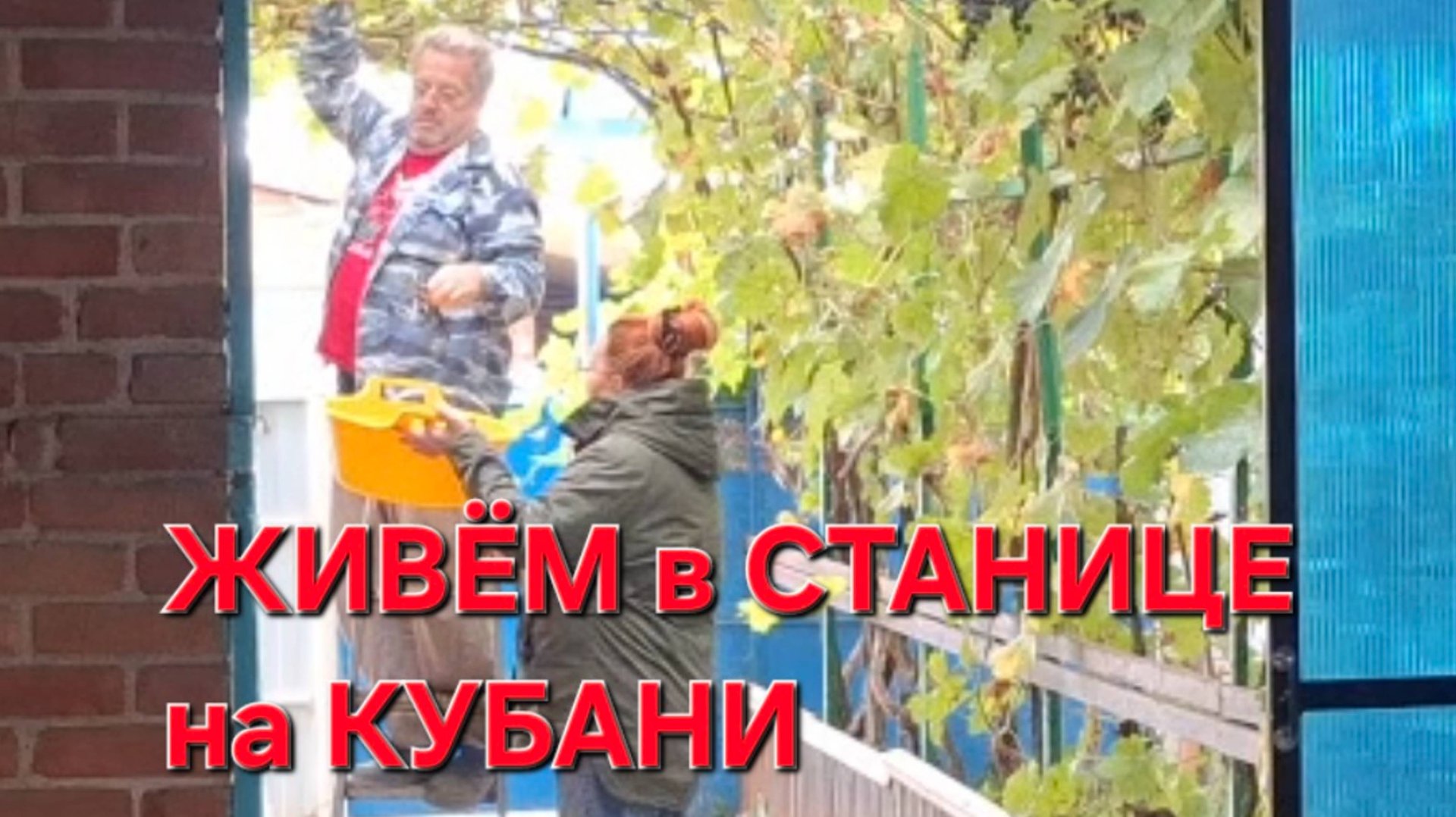 788 Простая жизнь в станице на Кубани. Целый день дождь.Осень на Кубани. смотреть онлайн