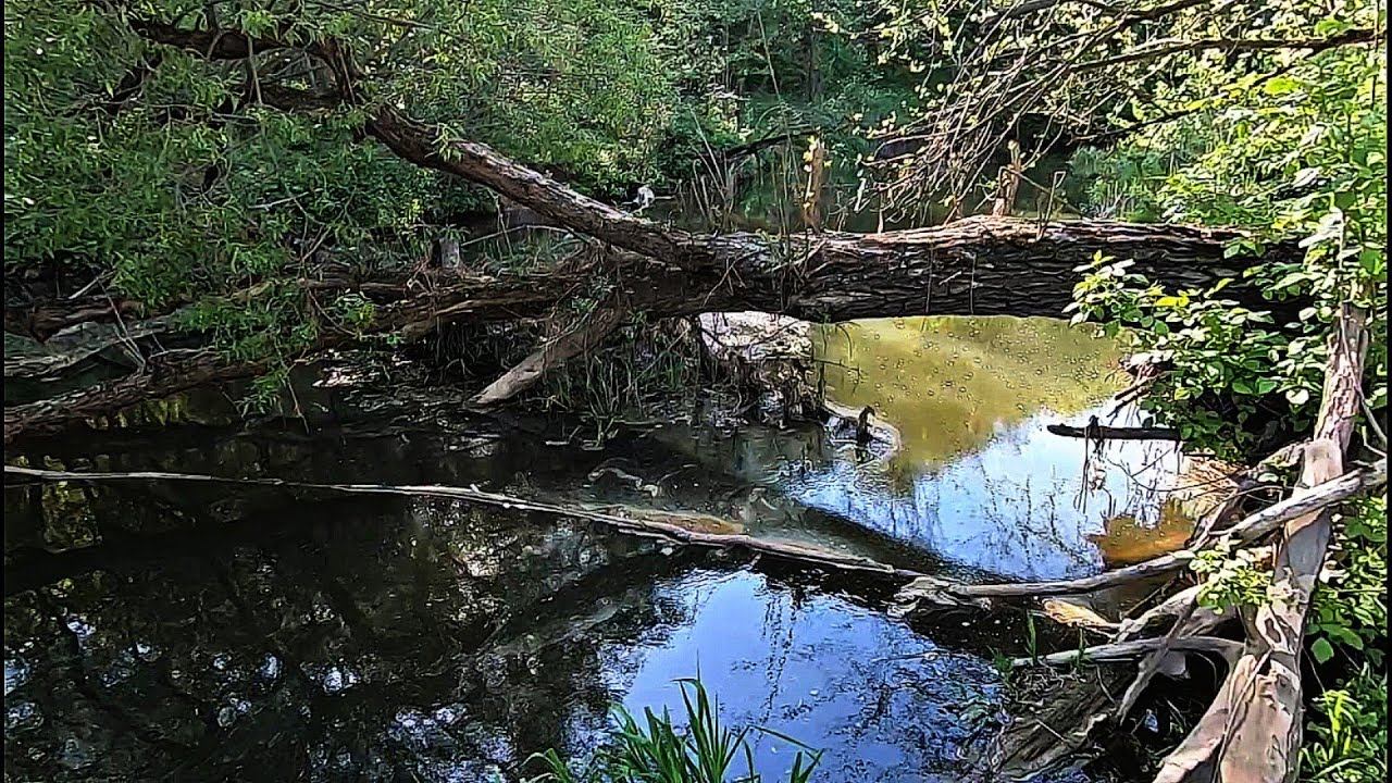 День Уклейки.Разведка По Микро-Речке. смотреть онлайн