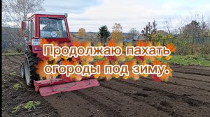 Продолжаю пахать огороды под зиму.
