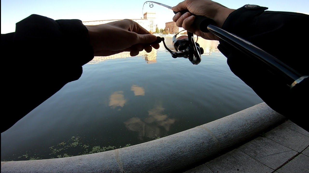 Летний Шабаш-2024.День Соревнований. смотреть онлайн