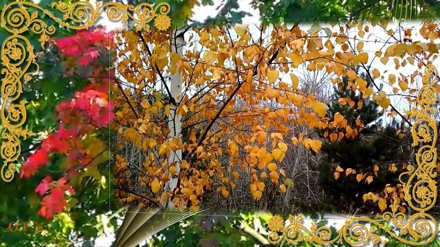 ЕДИНСТВЕННАЯ ОСЕНЬ муз исп Евгений Гранд стихи Татьяна Северинова