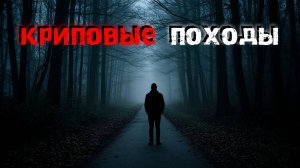 Три истории о том, как поход в лес обернулся кошмаром. Страшные истории