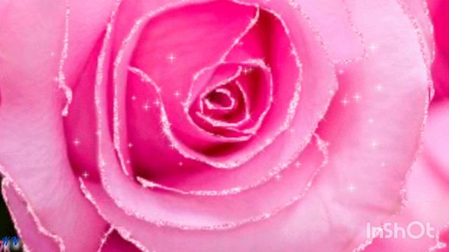 Розовые Розы 💖Весёлые ребята 🌟Видеооткрытка С Днём Рождения для Светланы смотреть онлайн