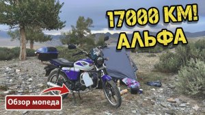 Обзор мопеда Альфа на пробеге 17 000 км