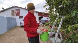 Жизнь в деревне 🏡 Посадила чеснок 🧄 // Дима скосил траву // не переживайте 🙋//