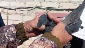 В гостях у Сердюка Виктора Александровича.г Геническ.