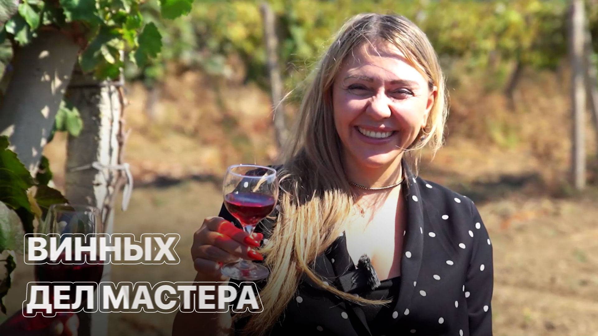 Сколько стоит построить винодельню? ЗЕМЛЕХОД смотреть онлайн