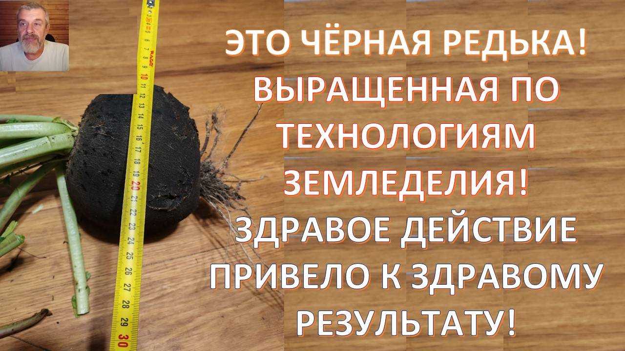 КУЛЬТ МЕЛКИХ ЛАВОЧНИКОВ: КАК НАМ ИЗБАВИТЬСЯ ОТ НЕГО И СТАТЬ НАСТОЯЩИМИ ЛЮДЬМИ смотреть онлайн