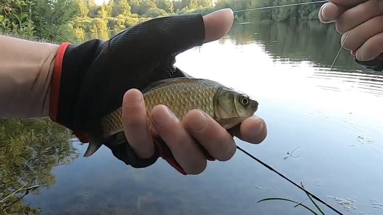 Рыбалка на Карася в Начале Августа.Мормышинг. #мормышинг#рыбалка#мормоны смотреть онлайн