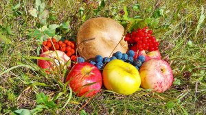 ВОСХИТИТЕЛЬНАЯ ЗОЛОТАЯ ОСЕНЬ 🍂🍒 ЭТЮД СЛАЙД-ШОУ