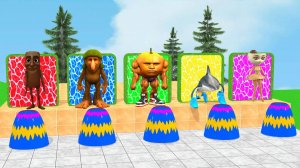 Брейнрот проходит испытания | Итальянские  мемы - в опастности| Мультики про АКУЛУ