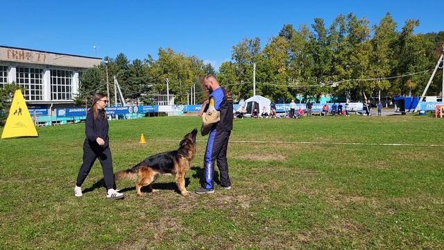 2.  выражено/пож ЛЕРУА МАДЛЕН ЦАРИЦА (Bunt v. Edelweiss – Антарес Солярис Елита)