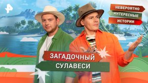 Загадочный Сулавеси — Невероятно интересные истории (29.09.2025)