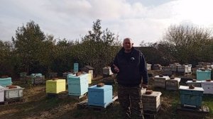 мастер класс по матководству