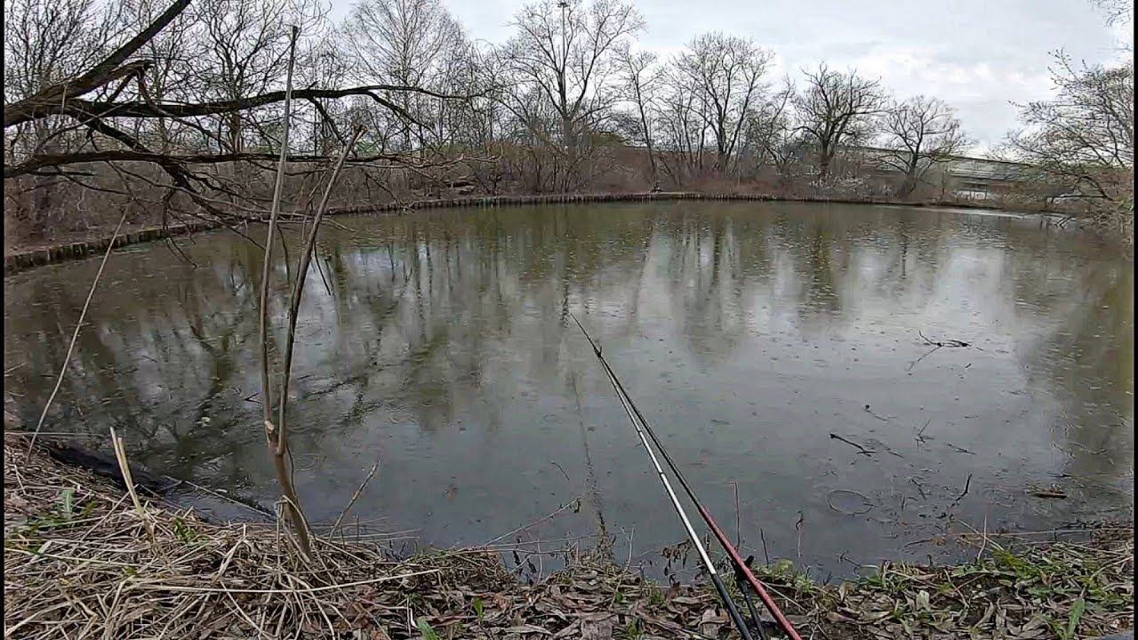 Рыбалка В Дождь На Поплавок.Пробую Самодельное Тесто. смотреть онлайн