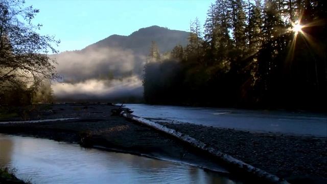 Сможешь досмотреть до конца? Очень красивое видео смотреть онлайн