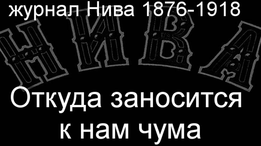 Откуда заносится к нам чума. описание журнал Нива 1876-1918 смотреть онлайн