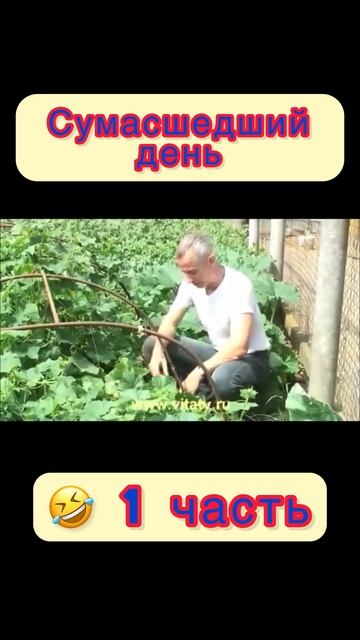 Сумасшедший день (1 часть)