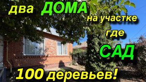 ДВА ДОМА НА УЧАСТКЕ ГДЕ САД 100 деревьев!!!