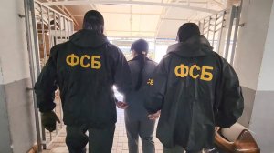 Жительницу Севастополя задержали по делу о государственной измене