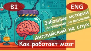158 Как работает мозг. Английский по смешным рассказам.