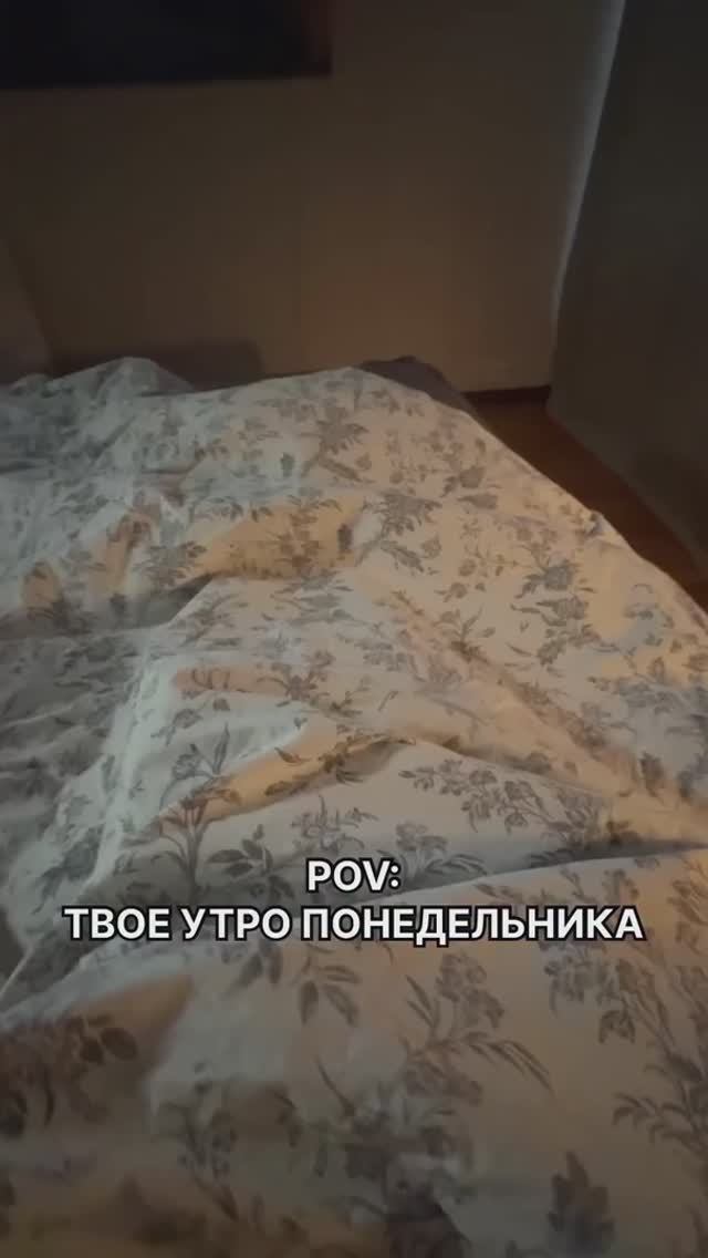 😂Доброе утро! смотреть онлайн