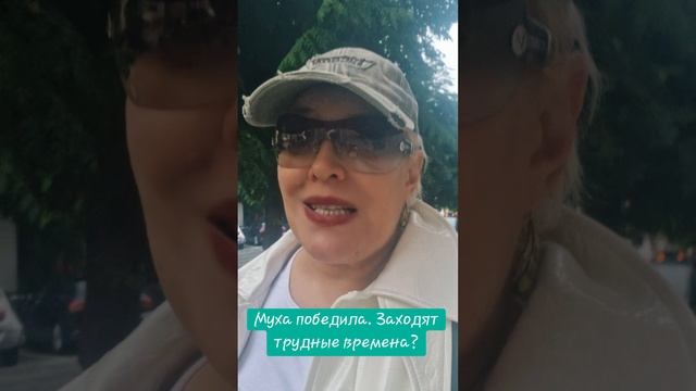 Муха победила. Заходят трудные времена? смотреть онлайн
