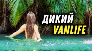 #45 Чем заняться на приватном острове. Остров Кешм для двоих . Дикие VanLife путешествия!