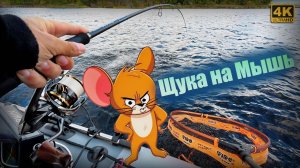 Ловля ЩУКИ на МЫШЬ! Рыбалка на спиннинг в сентябре