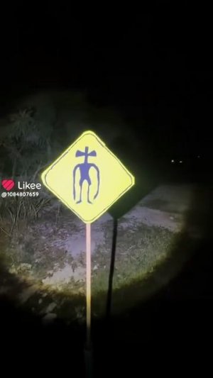 чисто я в лесу