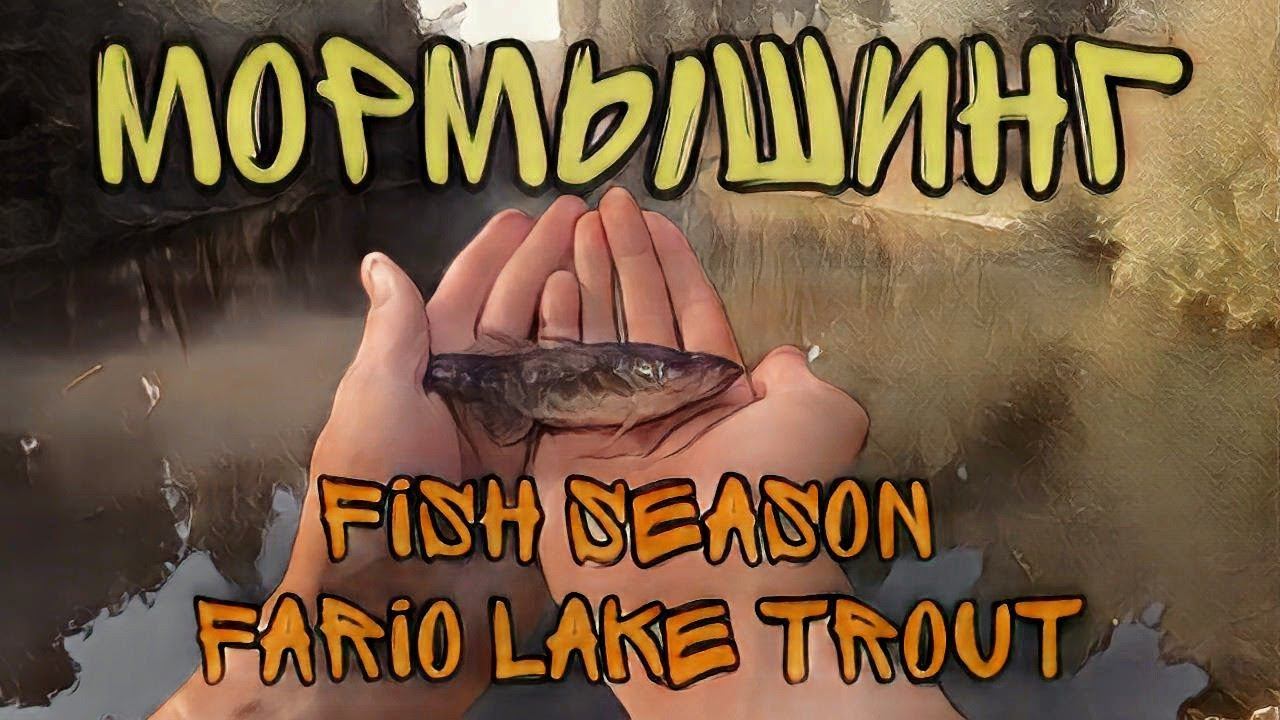 МОРМЫШИНГ НА ПРУДУ. НАЧАЛО. #мормышинг#мормоны#мормышка#рыбалка смотреть онлайн