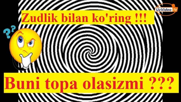 Miyyangizni tutatib yuboradigan animirlangan optik yolg'onlar- G'aroyib yolg'onlar !!!