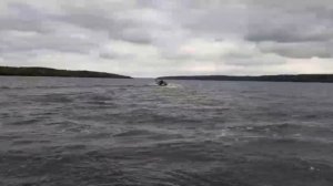 petal_20250929_145917.mp4