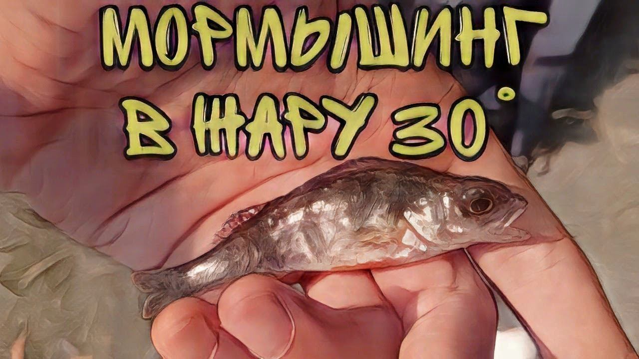 МОРМЫШИНГ В ЖАРУ 30°.ТРУДОВАЯ РЫБАЛКА. #мормоны #мормышинг#мормышка#рыбалка смотреть онлайн