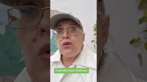 Спокойствие Орбана