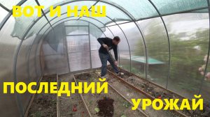 ГОТОВЛЮ М МАШИНУ ОФОРМЛЕНИЮ ЗАЧЕМ ЭТО ВСЕ РЕМОНТ КРЫШИ СОРВАЛО КРЫШУ ВЕТРОМ МОГЛА БЫТЬ БЕДА