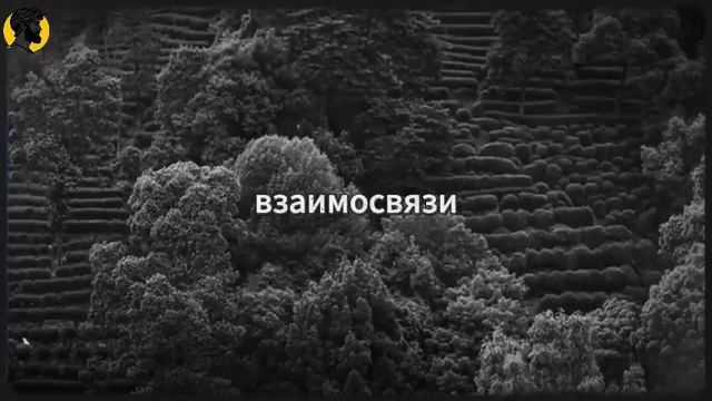 (42 УРОК) Она уважает тебя больше всего, когда ты больше не нуждаешься в ней СТОИЦИЗМ смотреть онлайн