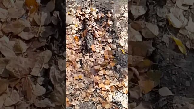 логово бомжа смотреть онлайн