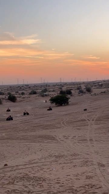 Сафари на закате Дубай #Gektalife #shorts