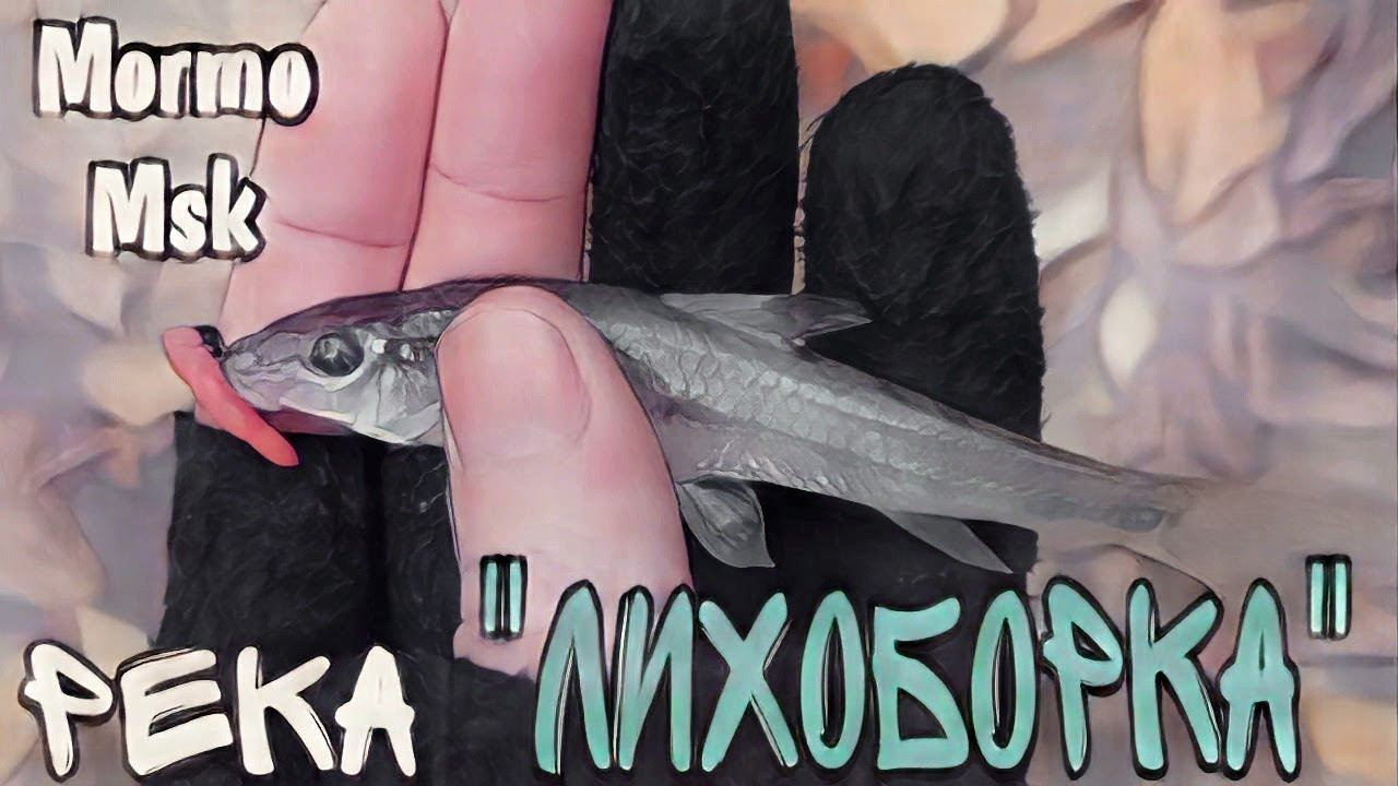 МОРМЫШИНГ НА МИКРО-РЕЧКЕ. #мормышинг#мормоны смотреть онлайн