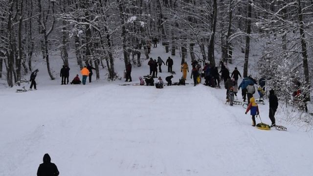 DSC_0142 смотреть онлайн