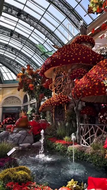 осень, Бельгия