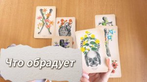 Расклад ЧТО ТЕБЯ ОБРАДУЕТ в ближайшее время. Гадание на картах, расклад таро онлайн