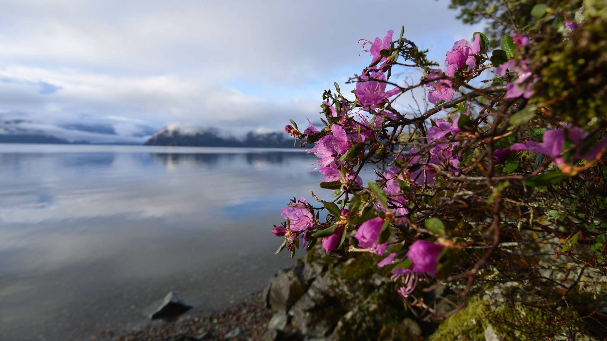 ЛЕТО У КАЖДОГО СВОЁ!