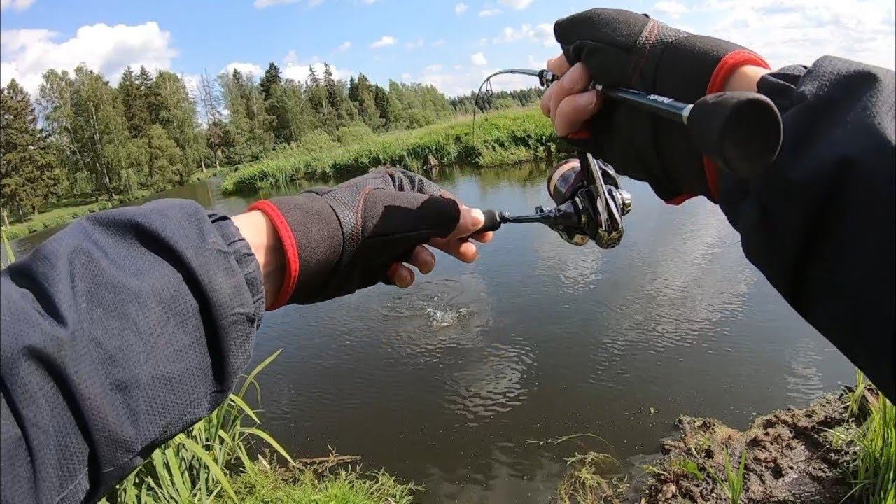РЕЧНЫЕ КАРАСИ-КРАСИВОЙ РЕКИ.#мормышинг #мормоны #рыбалка смотреть онлайн