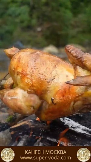 ВКУСНАЯ КУРИЦА-ГРИЛЬ 😋 🔥 #еда #вкусно #кухня #курица #мясо #овощи #природа #приготовление #кемпинг