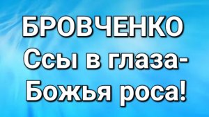 Бровченко/Обзор.