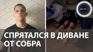 СОБР нашел его в диване у подруги: блогер из Новосибирска обматерил полицейских и пустился в бега