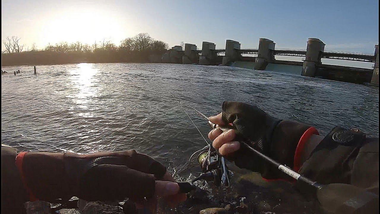 ПЕРЕРВИНСКАЯ Плотина.В Поисках Окуня.#наноджиг#мормышинг#микроджиг смотреть онлайн